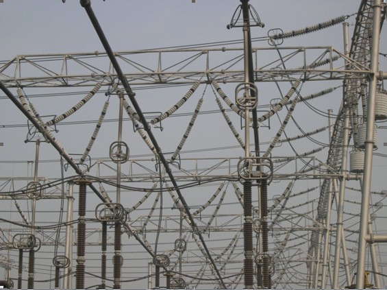 利来国国际(中国)最给力的老牌 - welcome